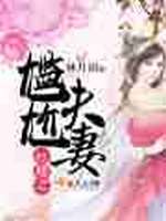 红楼之尴尬夫妻