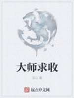 大师求收