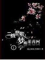 二战悲歌：梦断莱茵河