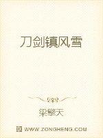 刀剑镇风雪